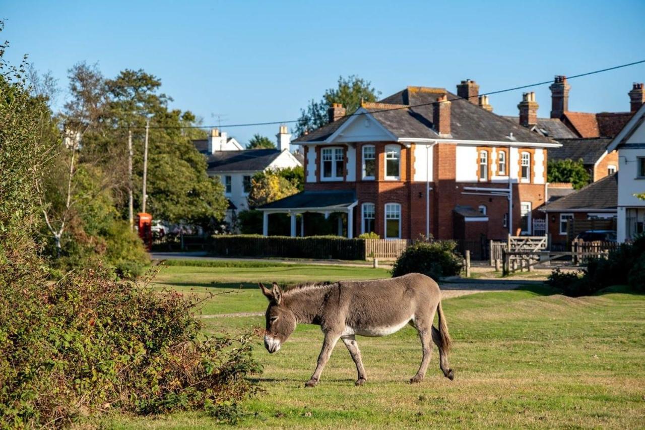 ברוקנהרסט Surrey Lodge מראה חיצוני תמונה